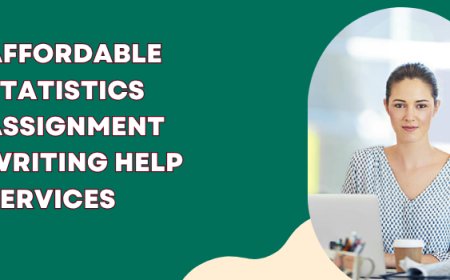 Affordable Statistics Assignment Writing Help Services