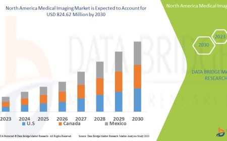 North America Medical Imaging Market Size, Share, Trends, Demand, Industry Growth and Competitive Outlook