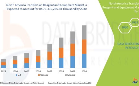 North America Transfection Reagent and Equipment Market Size, Share, Trends, Demand, Growth and Competitive Analysis