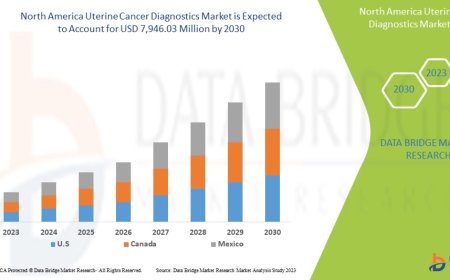 North America Uterine Cancer Diagnostics Market Size, Share, Trends, Demand, Growth and Competitive Outlook