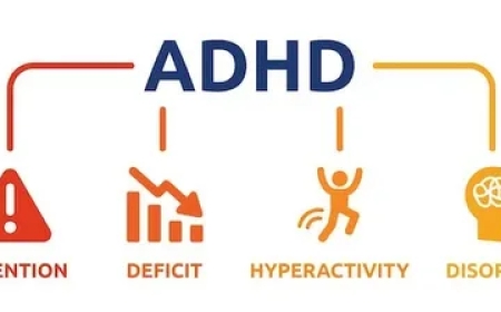 Exploring ADHD: Causes, Symptoms and Treatments Explained