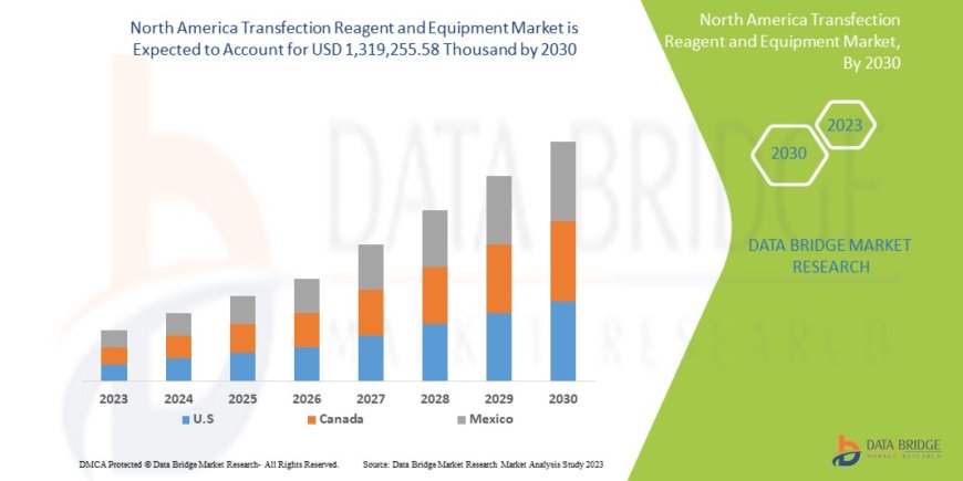 North America Transfection Reagent and Equipment Market Size, Share, Trends, Demand, Growth and Competitive Analysis