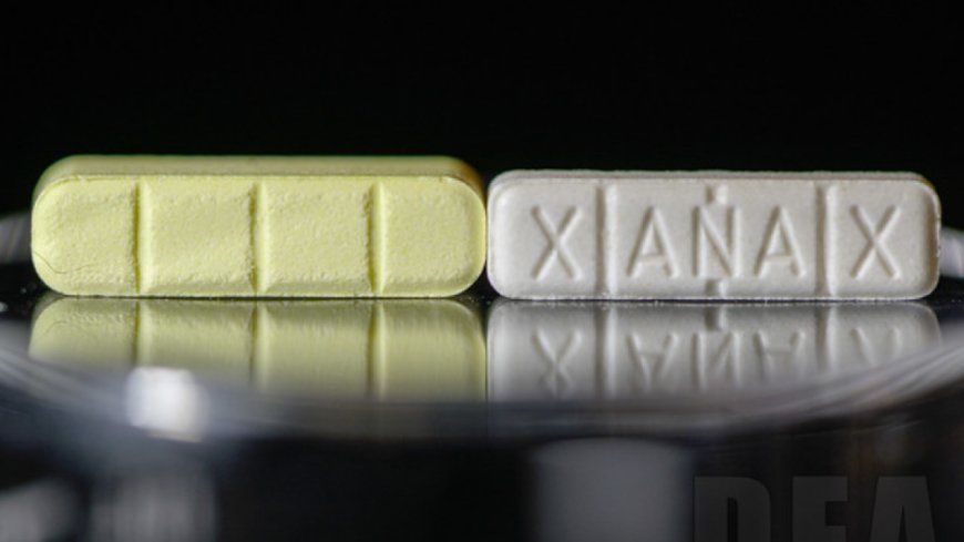 Xanax Vs Ativan-Which One Works Better for Anxiety Relief?