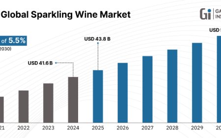 Top Sparkling Wine Market Drivers: E-Commerce, Millennials & Premium Labels