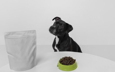 A Comprehensive Guide to Responsible Pet Waste Disposal: Mastering Dog Poop Bags, Pooper Scoopers, and Gogostik Tools