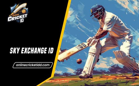 Sky Exch ID for Beginners – Easy Guide to Start Today