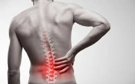 Foods That Fight Inflammation and Ease Lower Back Pain Naturally