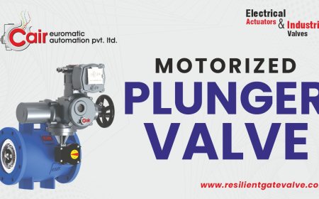 Everything You Need to Know About Plunger Valves for Flow Management