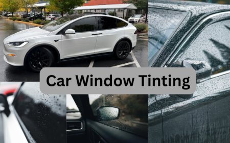 Auto Window Tinting in Mississauga: Style, Comfort, and Safety Combined