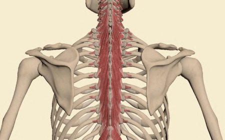 Minimally Invasive Spine Surgery: Techniques Used by the Best Spine Surgeon in Jaipur