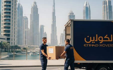 Top 20 Furniture Movers and Packers in Dubai: How to Choose the Right One for Your Move