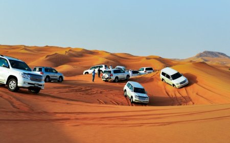 Your Guide to the Best Desert Adventure in Dubai