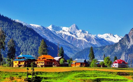 8 Mistakes to Avoid When Hiring a Tour Company