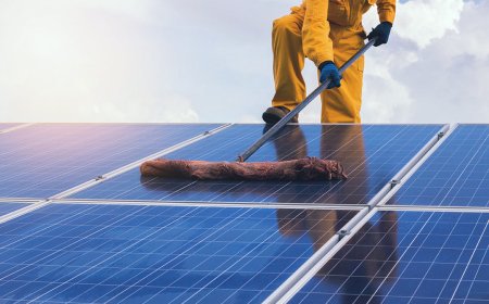 Protect and Maximize Your Solar Investment: Solar Panel Cleaning and Bird Mesh Installation in Fresno