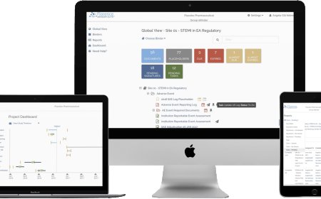 How Dubai Small Businesses Can Compete with Big Brands Online