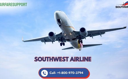 How do I speak to someone at Southwest? Call Or Chat!