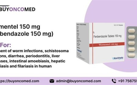 ⏱️ How Quickly Does Fenbendazole Work for Cancer?