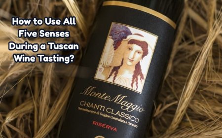 How to Use All Five Senses During a Tuscan Wine Tasting?