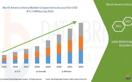 North America Stevia Market Climbs with Consumer Preference for Sugar-Free and Natural Alternatives