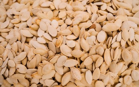Order Pumpkin Seeds Online – Eastern Food Industries