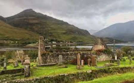 Best Ways to Avoid Midges While Traveling in Scotland