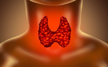 Global Salivary Gland Infection Market to Exceed US$ Billion by 2033, Driven by Rising Geriatric Population and Advancements in Diagnostics