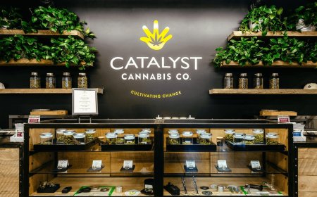 How to Choose the Best Dispensary Near Me for Quality and Trust