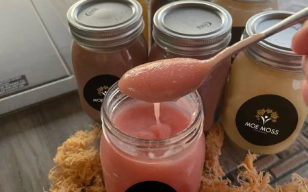 Unlocking the Power of Organic Irish Sea Moss: Nature’s Superfood by Essential-seamoss