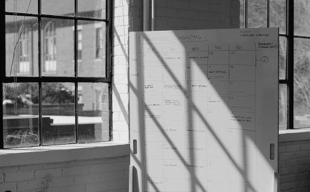 Peak Performance The Transformative Power of Executive Business Coaching