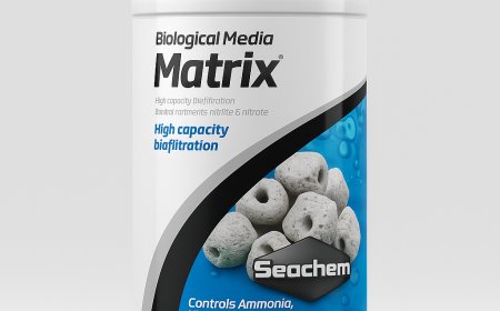 Why Seachem Matrix is a Must-Have for the Best Fish Tank Filters