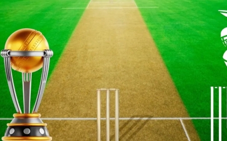 Magicwin247: India’s Trusted Online Betting Platform for Real Winnings