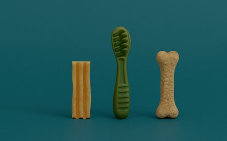 Why Greenies Blueberry Dog Dental Treats Are a Game-Changer