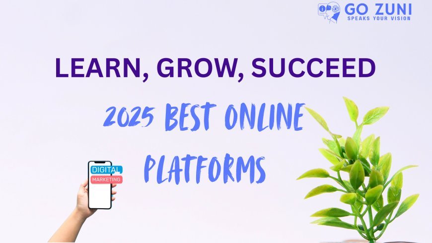 How to Make the Most of Online Learning Platforms as a Busy Professional