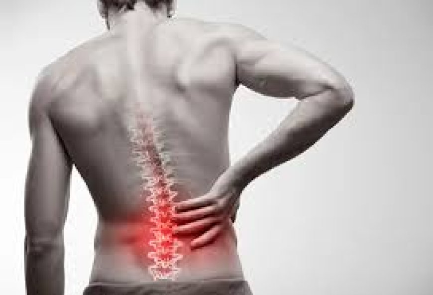 Foods That Fight Inflammation and Ease Lower Back Pain Naturally