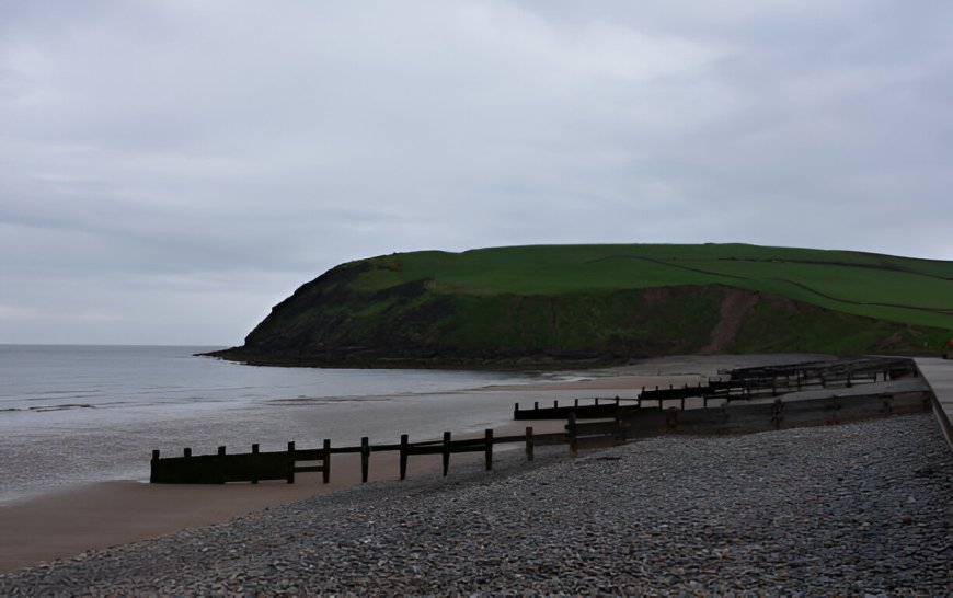 Unraveling the Journey from Pawn to Power in Pawn to King's End