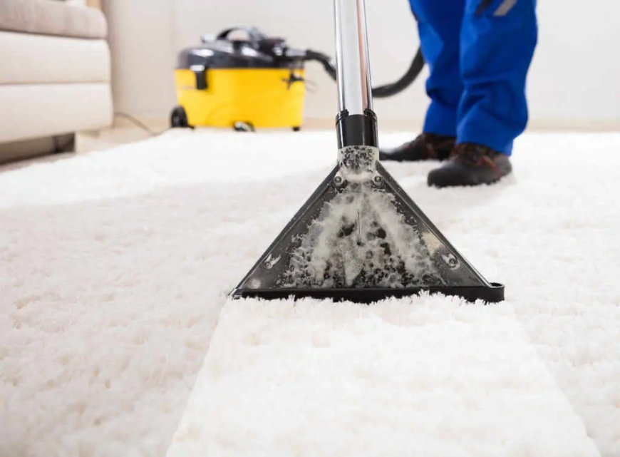 Best Carpet Cleaner Denver, CO
