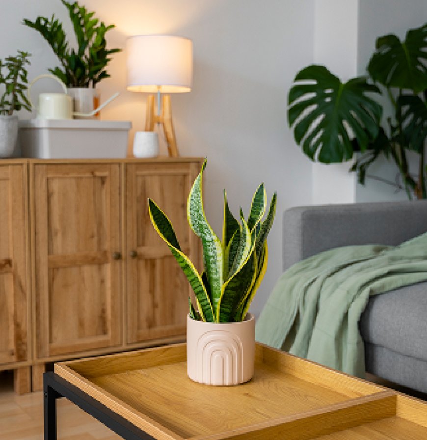 Hemstädning Stockholm – Därför ska du anlita en professionell städfirma i Stockholm