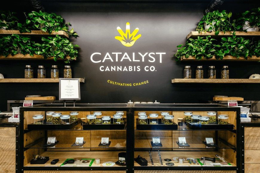 How to Choose the Best Dispensary Near Me for Quality and Trust
